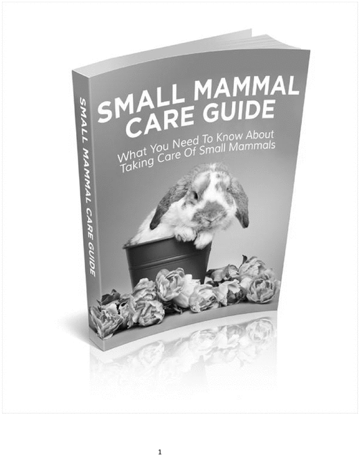 Product picture Small Mammal Care Guide 